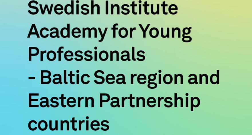 SI Academy for young professionals